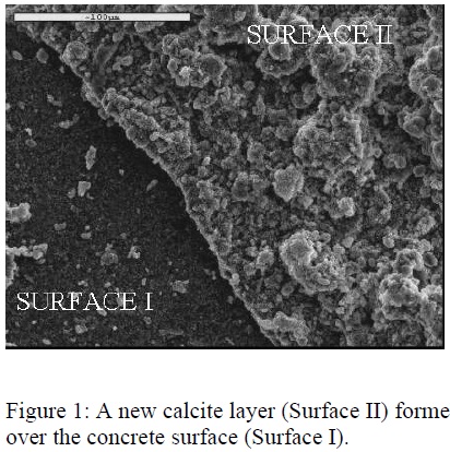 A new calcite layer (Surface II) formed Figure 2: Magnified image of calcite