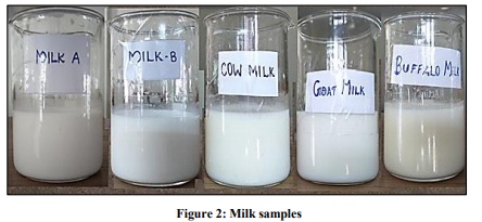 Amount Of Casein In Milk Chemistry Science Fair Project