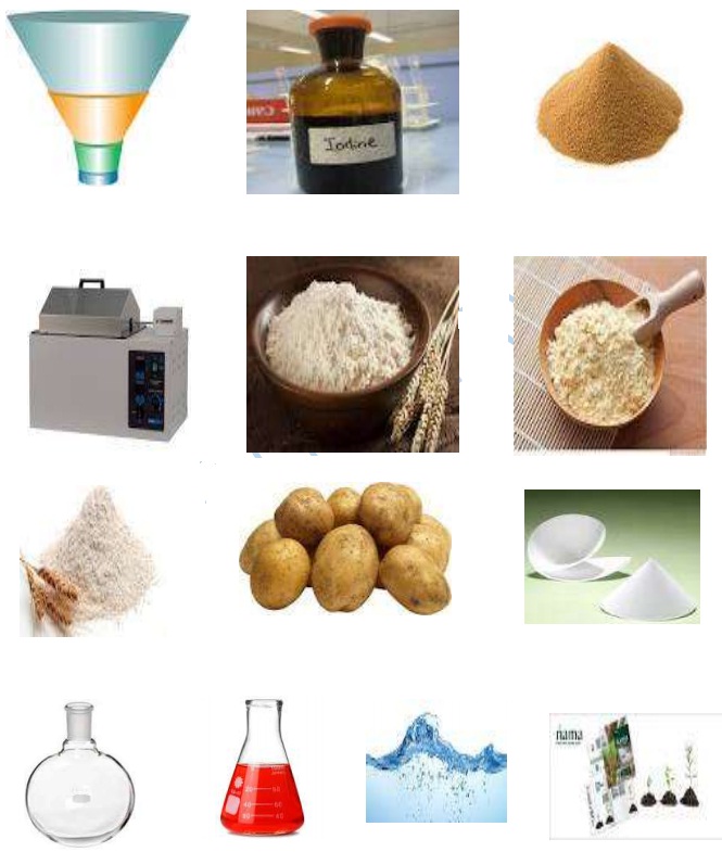 Rate of Fermentation of Wheat Flour - Rate%20of%20Fermentation