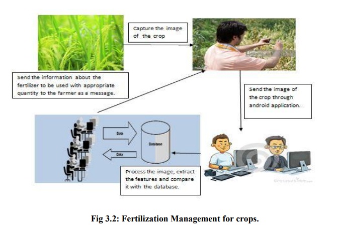 Fertilization Management