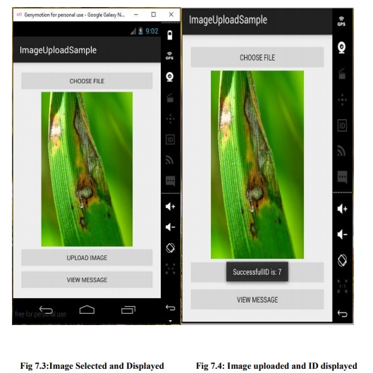 Image uploaded and ID displayed