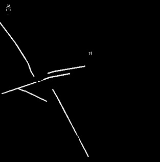 Yellow Filtered Image