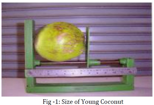 coconut cutting machine