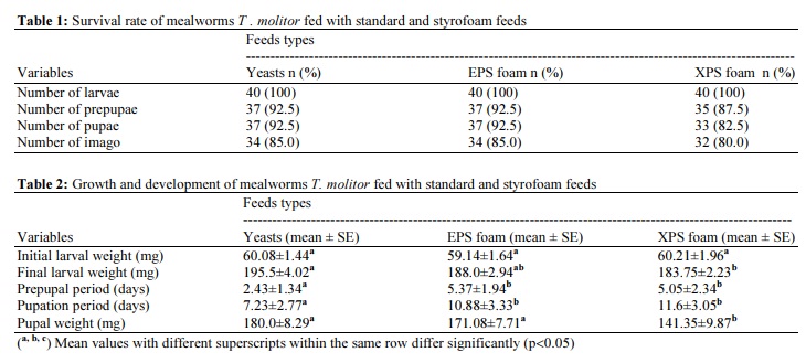Digestion of Plastic