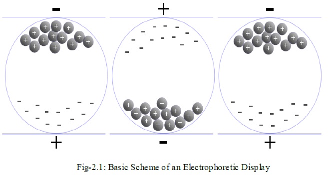 Basic Scheme of an Electrophoretic Display