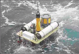 Tsunami Warning System