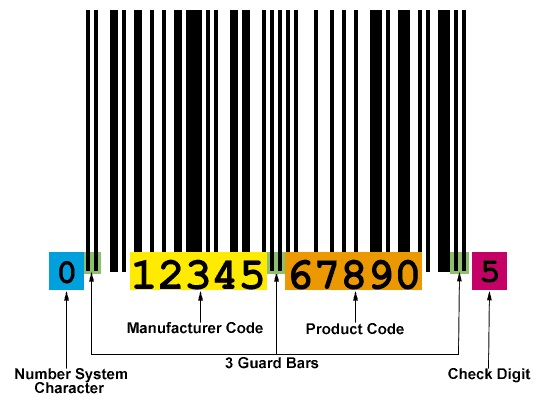 Barcodes Anatomy
