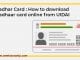 Download EAadhaar Card