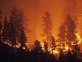 Wildfire Insurance