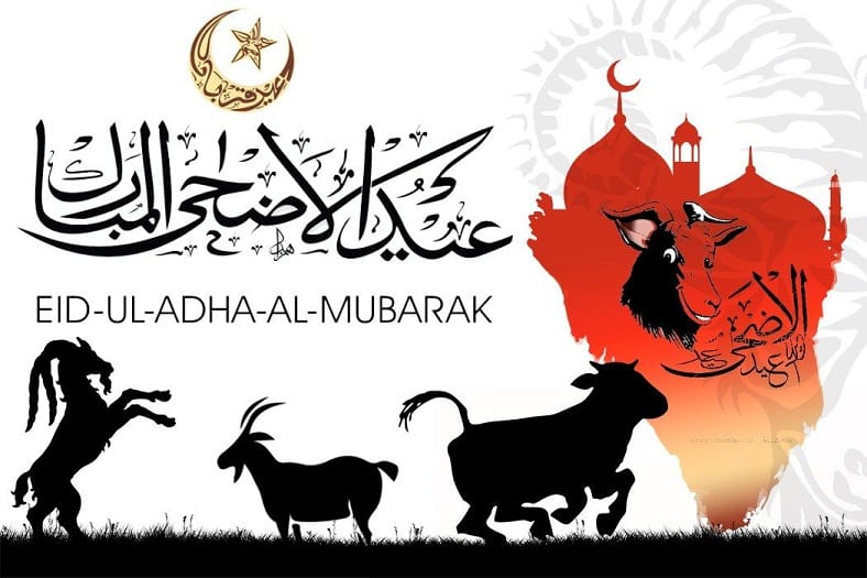 bakra eid