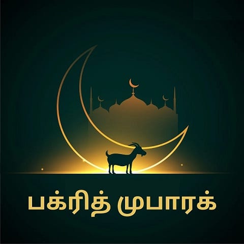 eid ul adha wishes in tamil