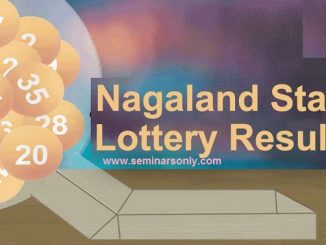 nagaland state lottery