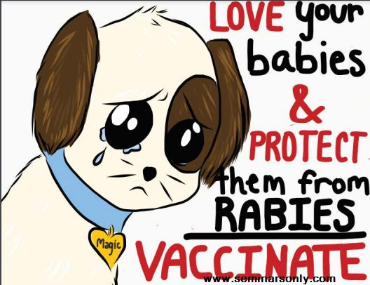 poster about rabies awareness 2