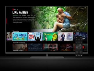 netflix movie reviewer