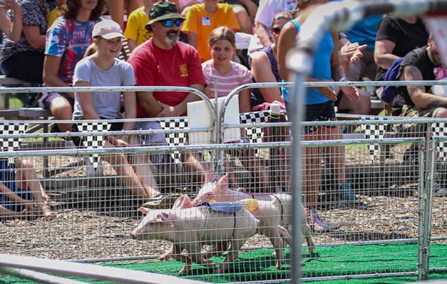 sussex county fair grounds