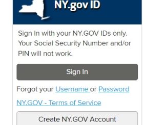 NY gov ID