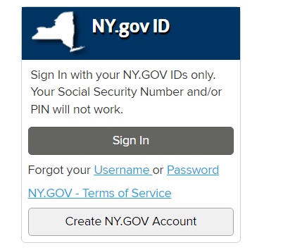 NY gov ID