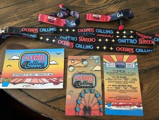 Oceans Calling Wristband