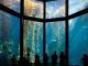 Monterey Bay Aquarium