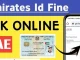 UAE ID Fine Check