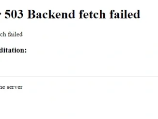 Error 503 Backend fetch failed