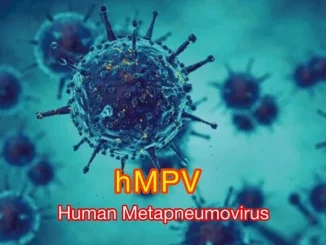 Human Metapneumovirus HMPV