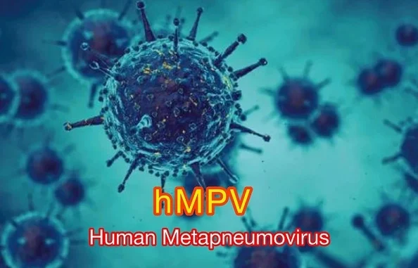 Human Metapneumovirus HMPV