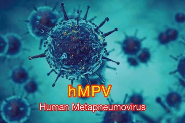 Human Metapneumovirus HMPV