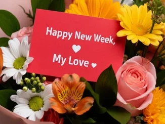 love letter from the future