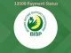 13500 Payment Status