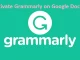 Activate Grammarly on Google Docs