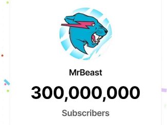 How Much Money Does MrBeast Have
