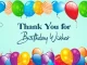 thank you birthday message
