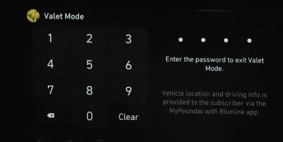 Hyundai Blue Link Login