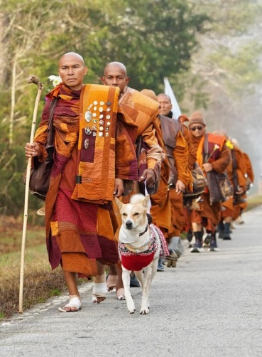 Venerable Buddhist Monks
